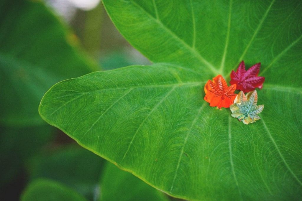 photo_2020-10-12_21-20-32-min